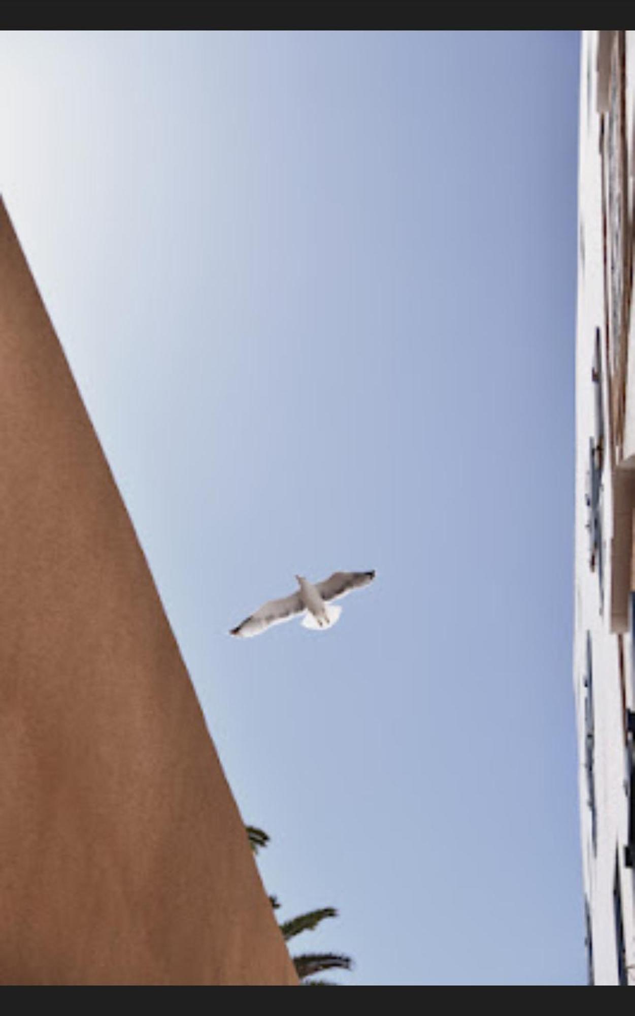 Loft Incroyable En Medina Apartment Essaouira Ngoại thất bức ảnh